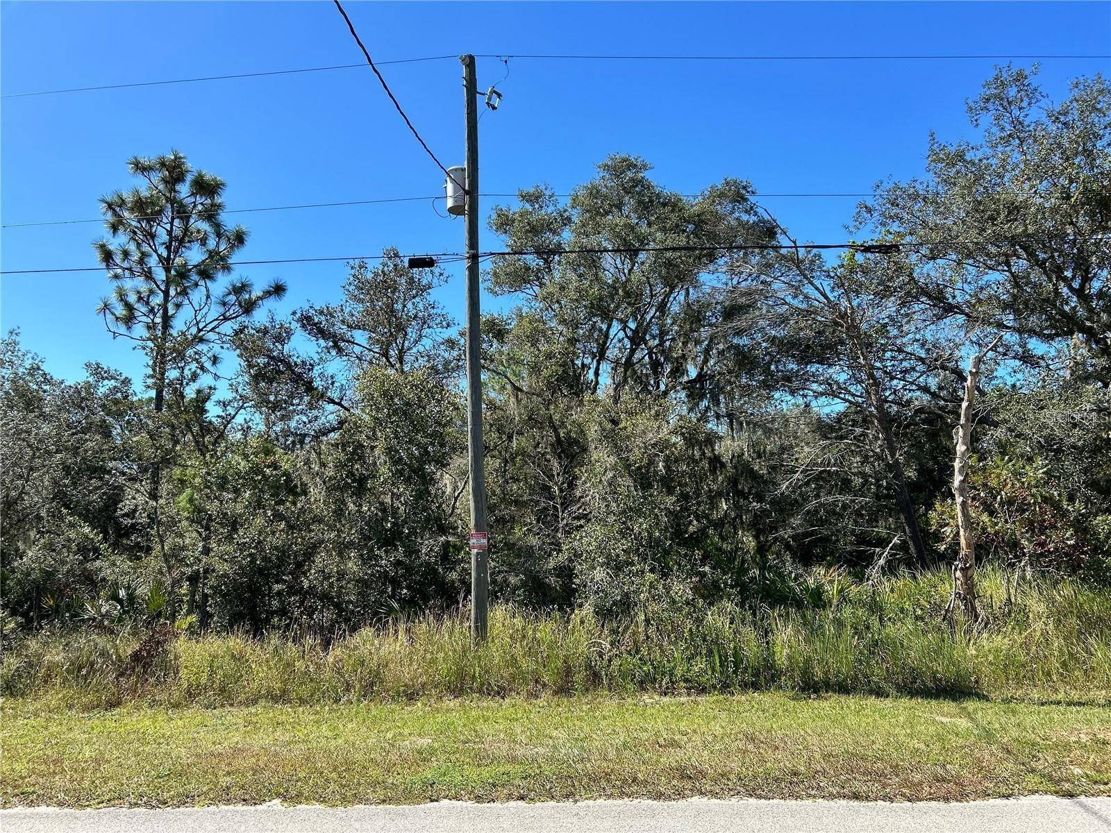 WOODSTORK WAY