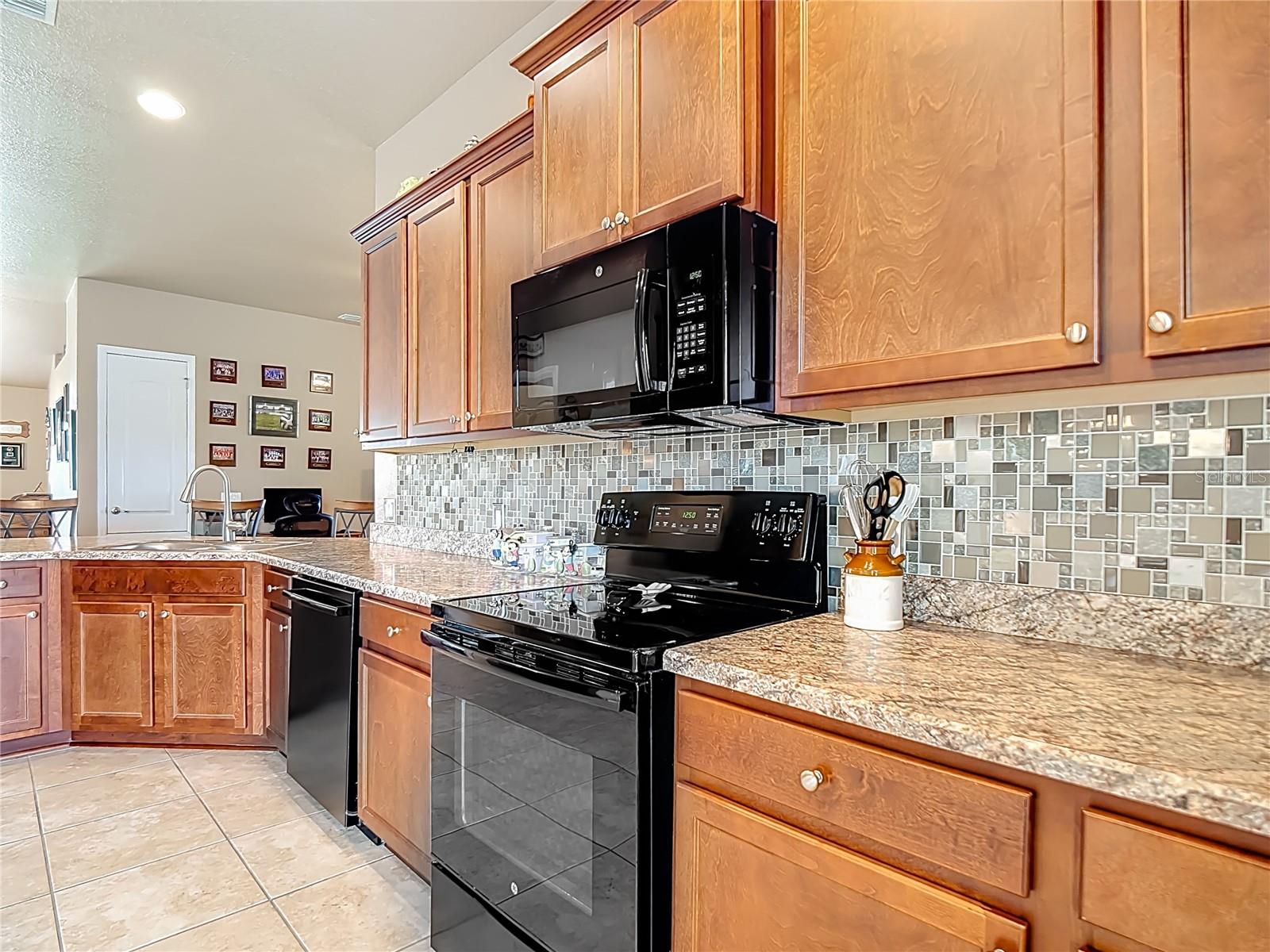 1170 Legatto Loop Property Photo 13