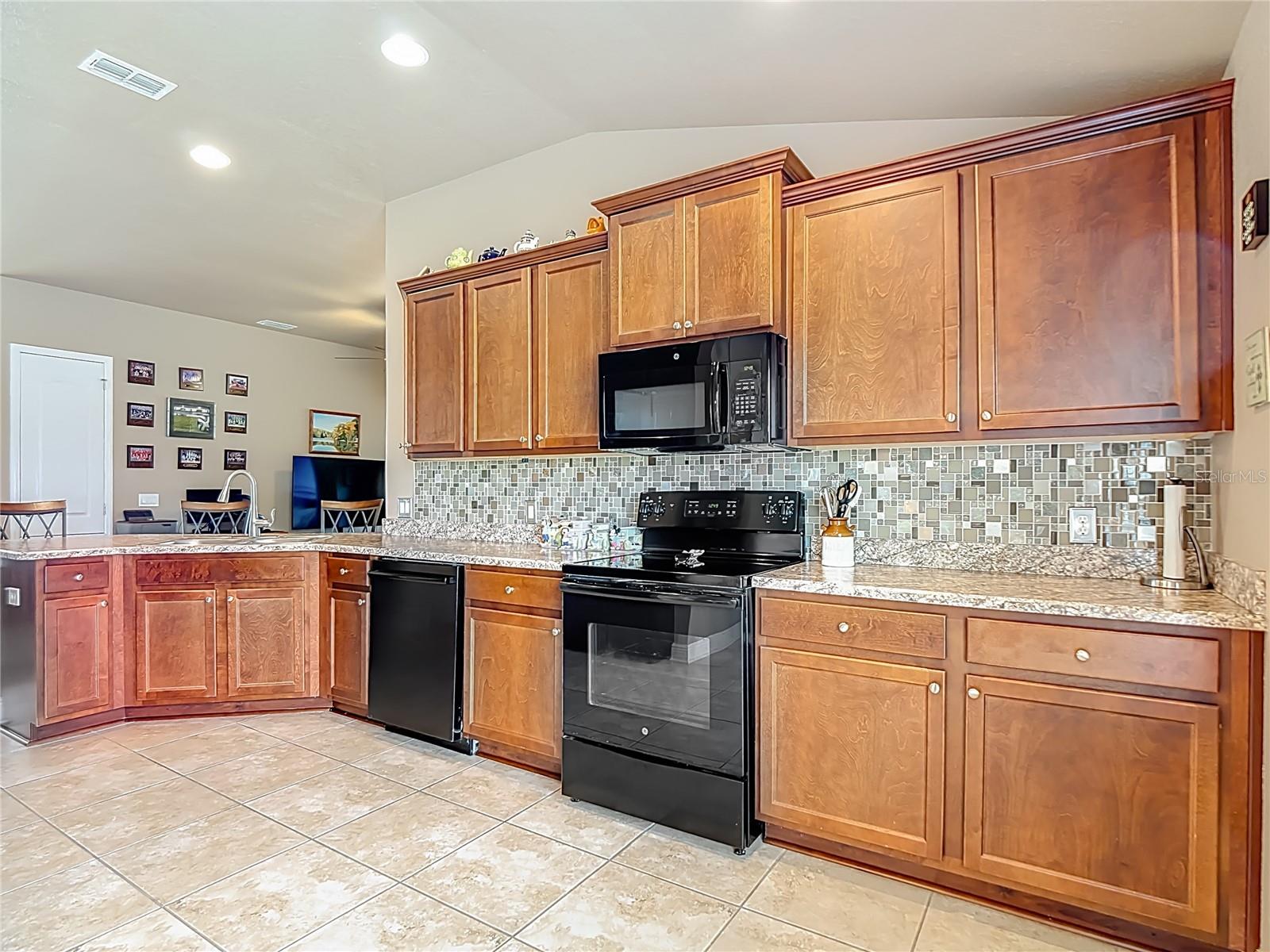 1170 Legatto Loop Property Photo 14
