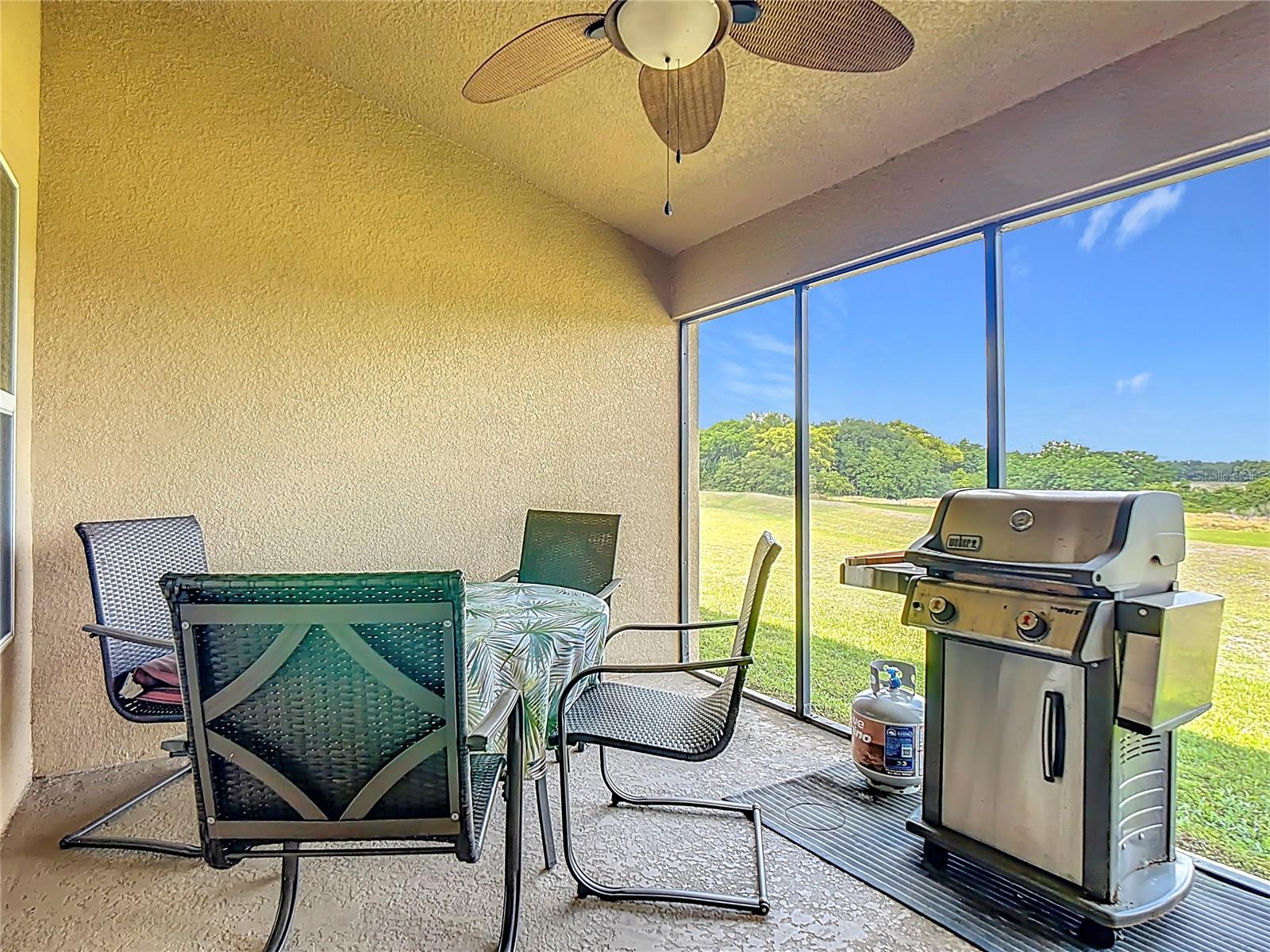 1170 Legatto Loop Property Photo 34