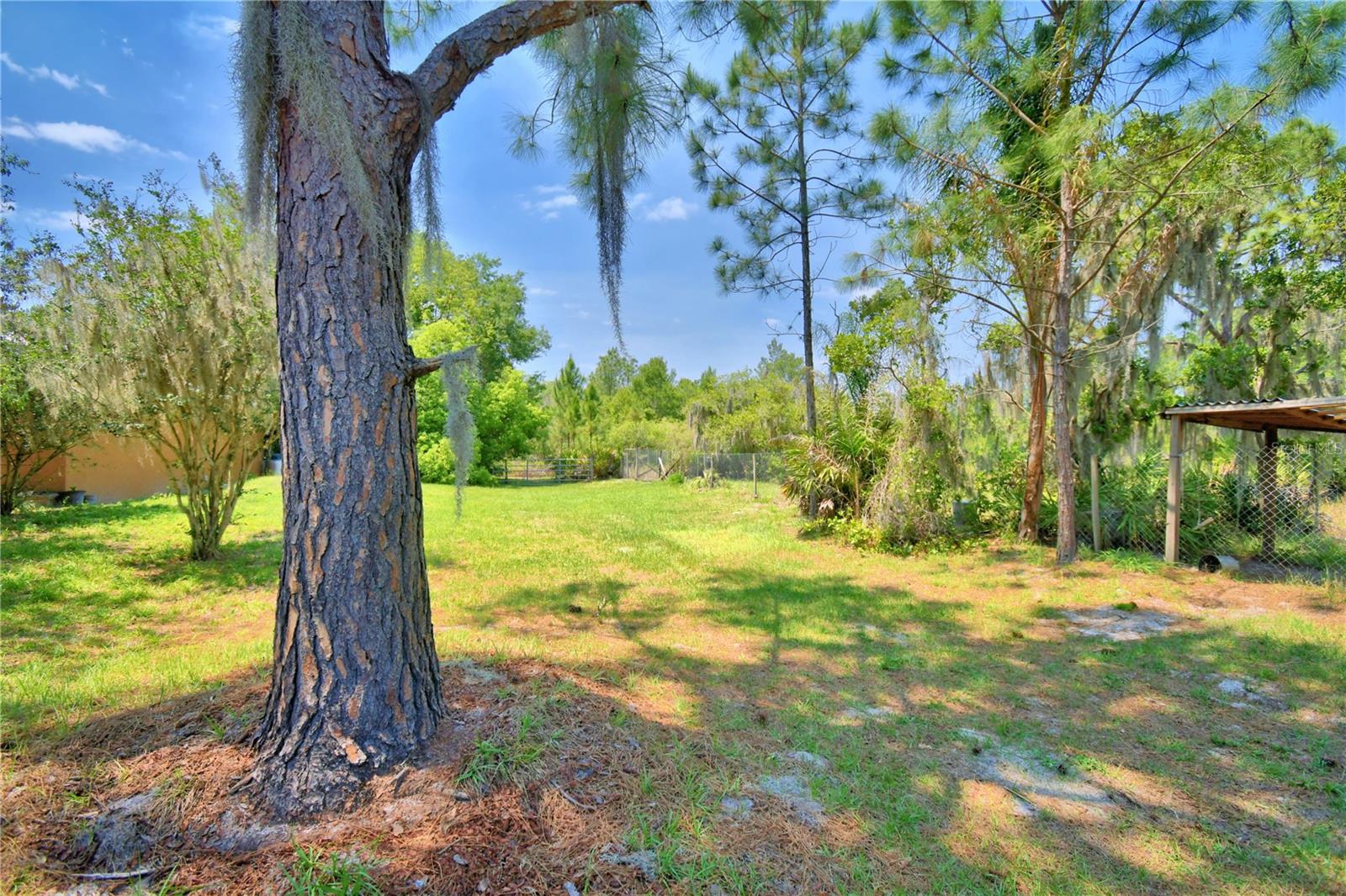 760 Mcclellan Rd Property Photo 58