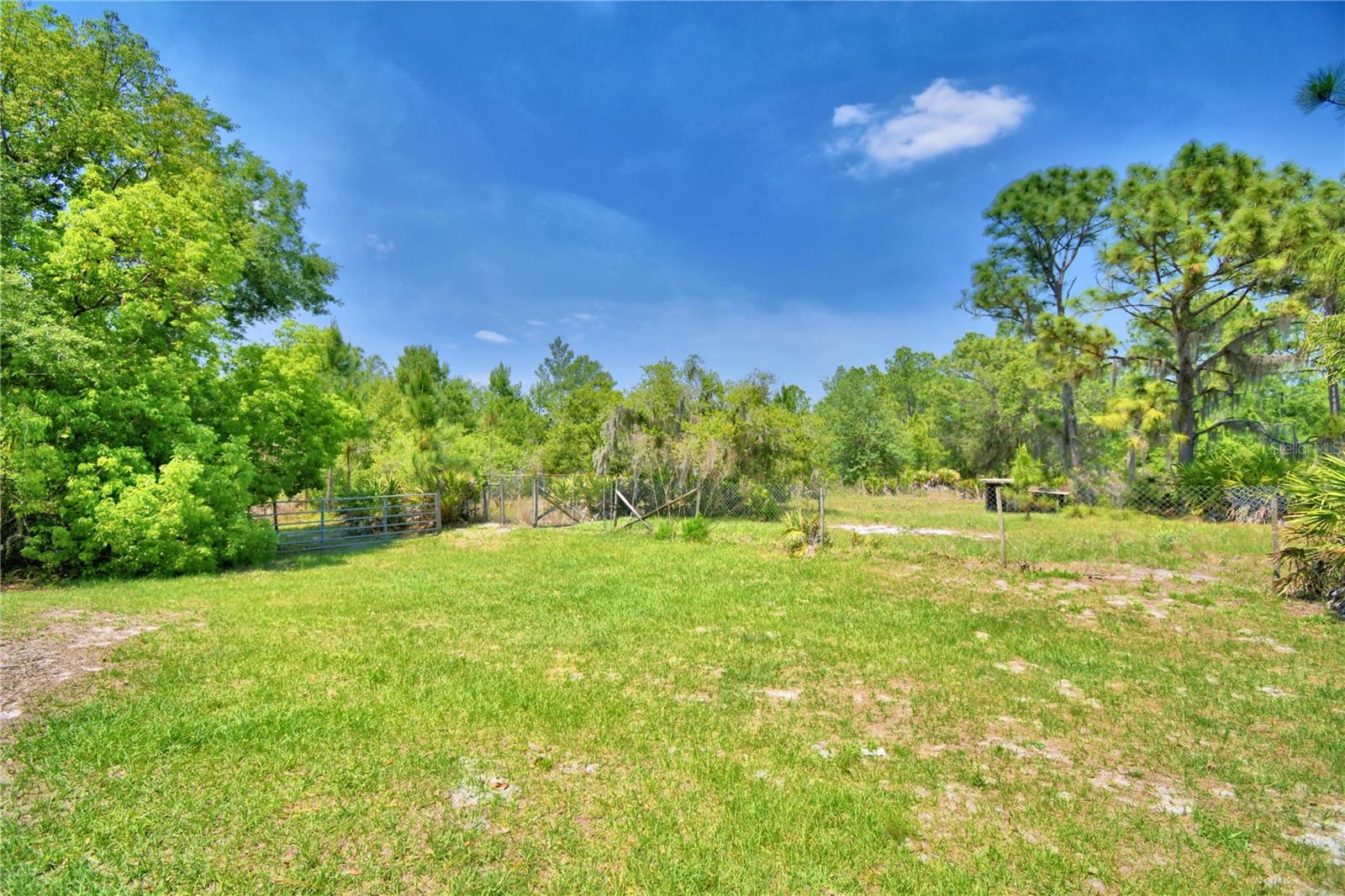 760 Mcclellan Rd Property Photo 65