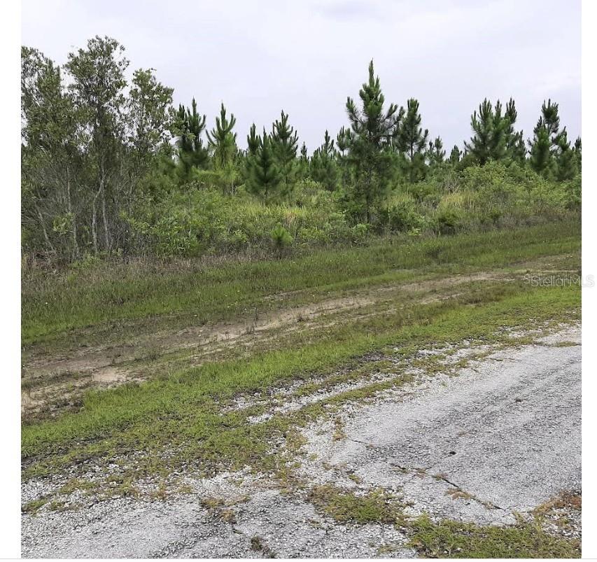 CALLIANDRA DR Property Photo 1