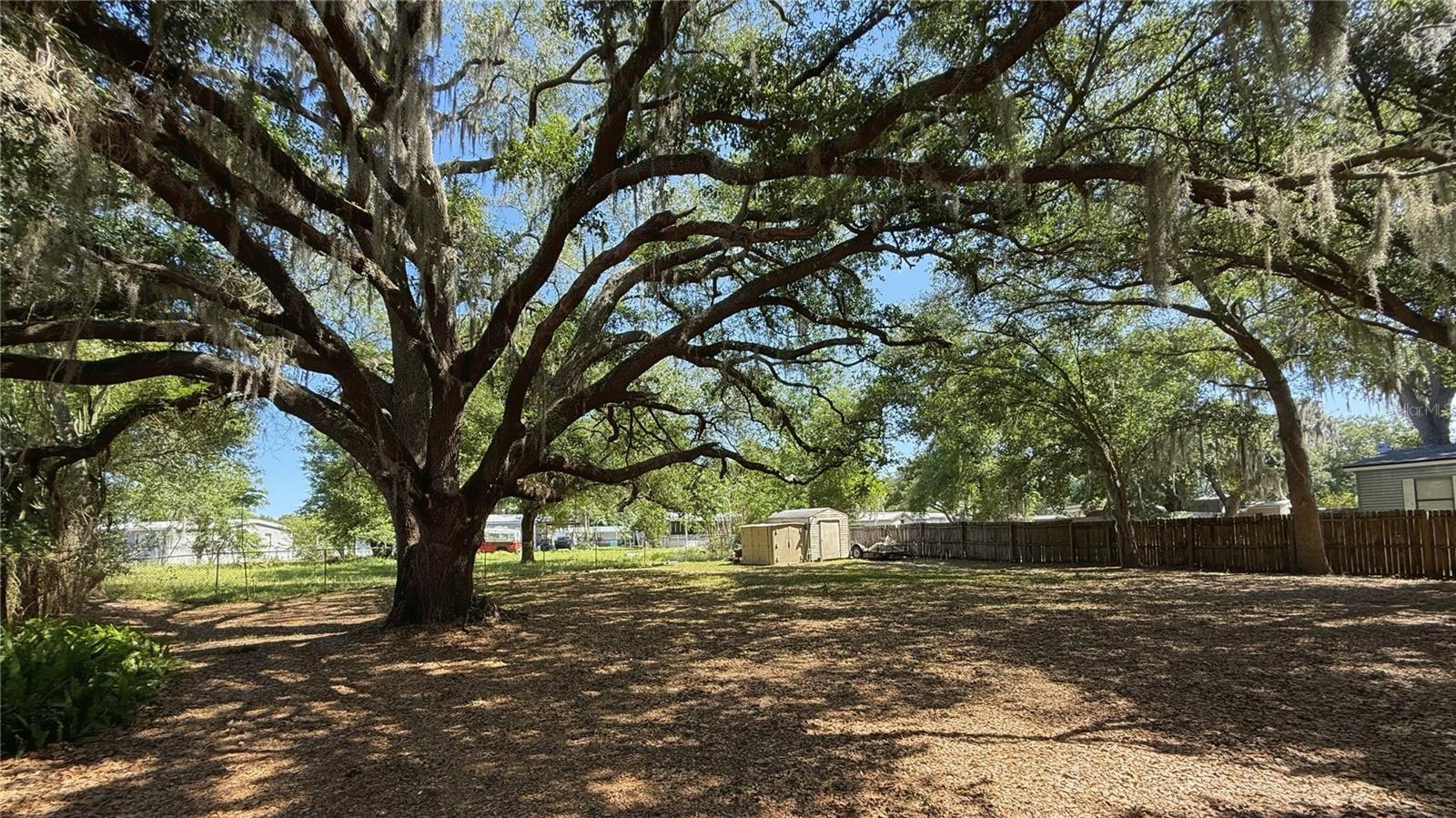 4817 Rollinglen Loop W Property Photo 3
