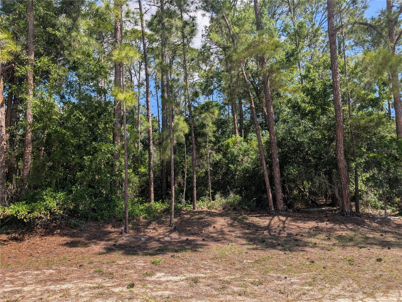 1114 Plumosa Dr Property Photo 1