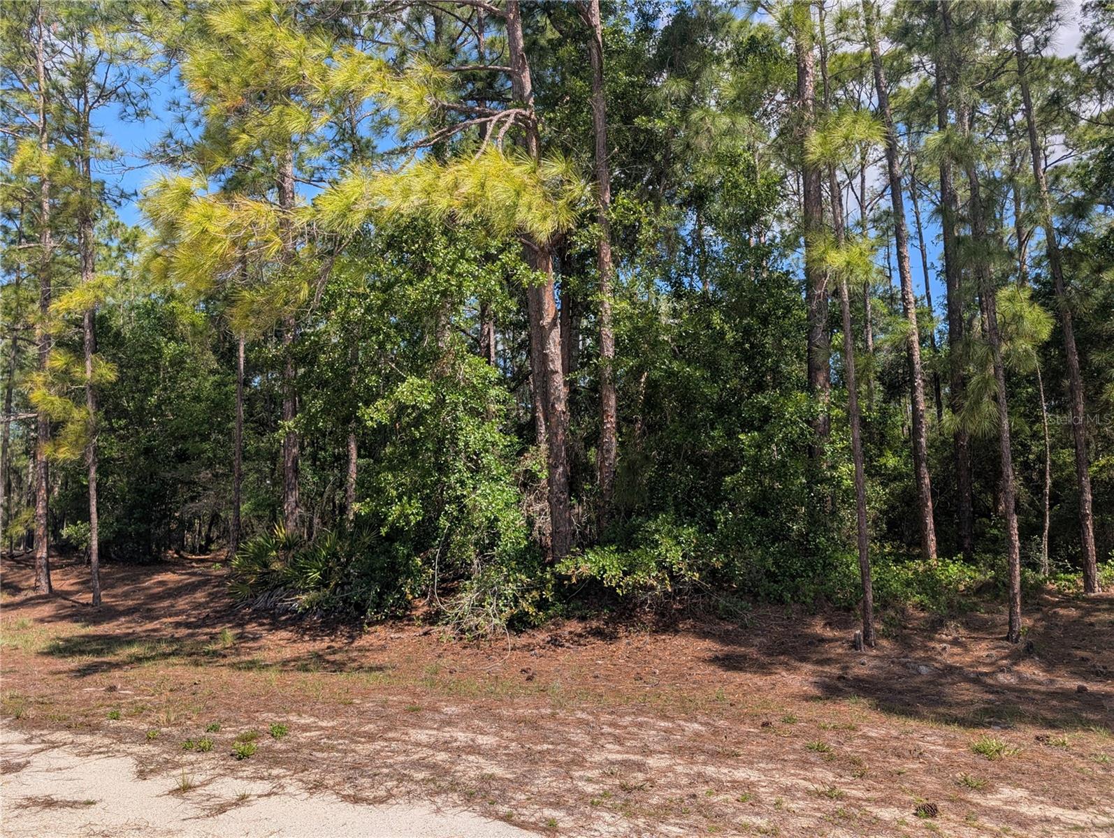 1114 Plumosa Dr Property Photo 2