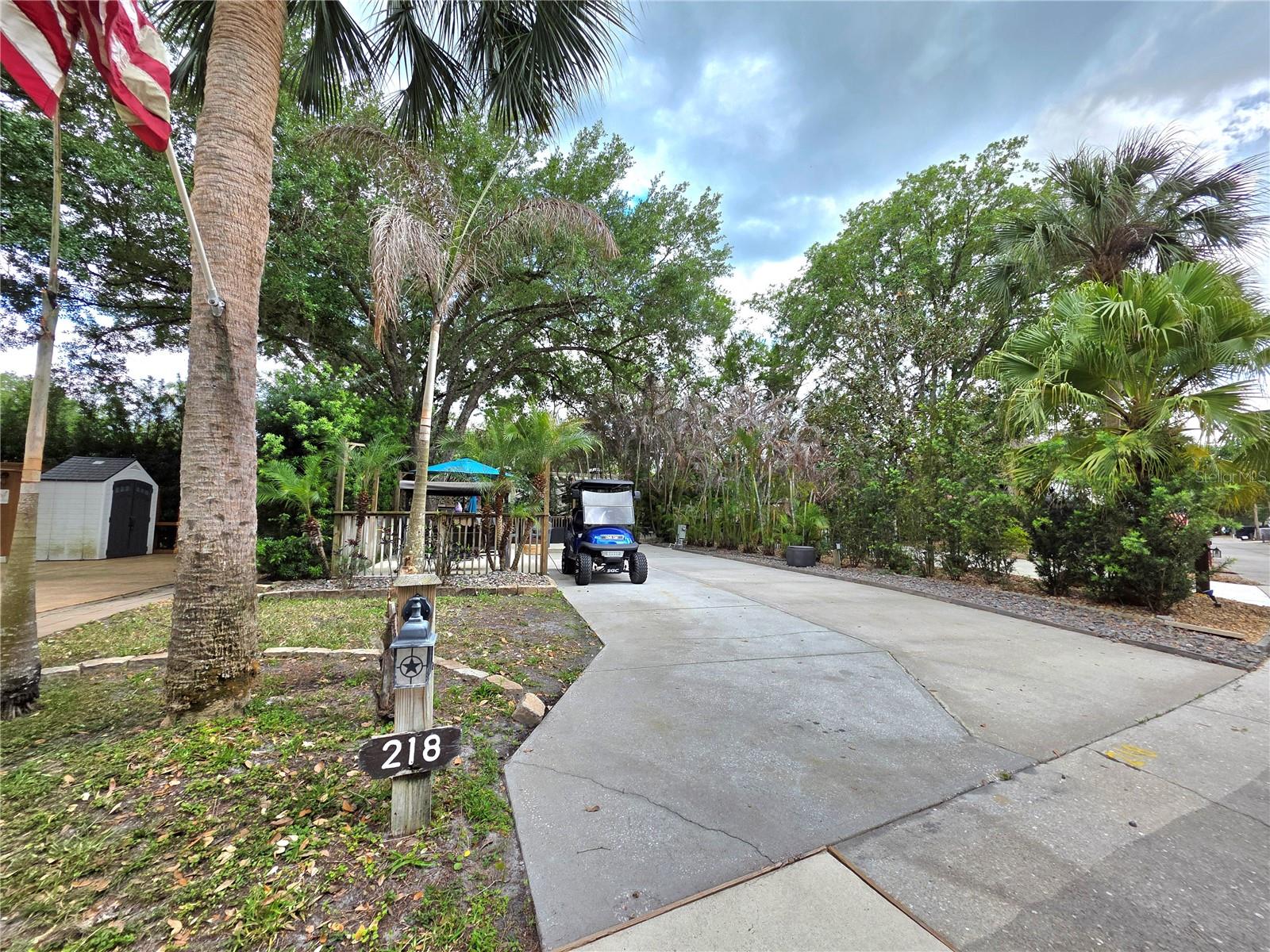 218 HORSESHOE BND Property Photo 1