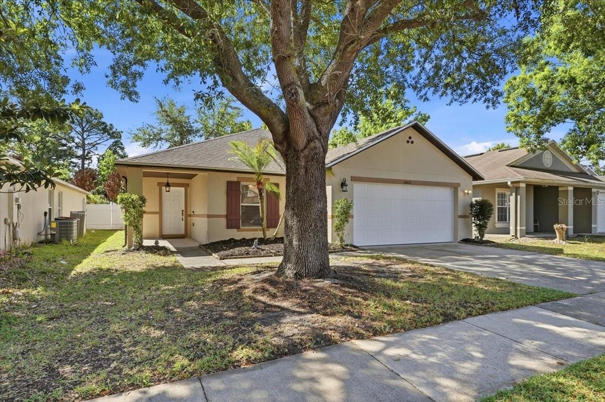 14852 Pellicer Dr Property Photo 25