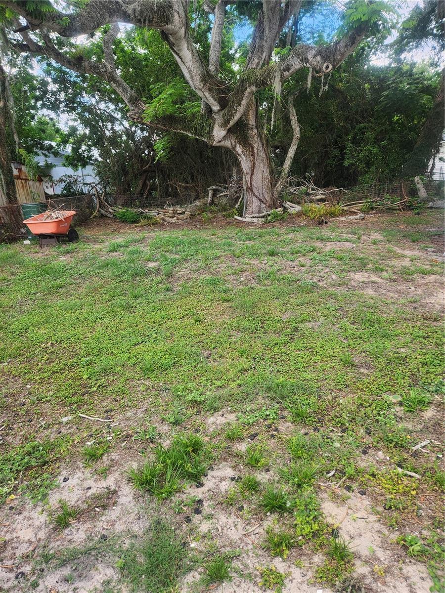 2429 Lakeview St Property Photo 5