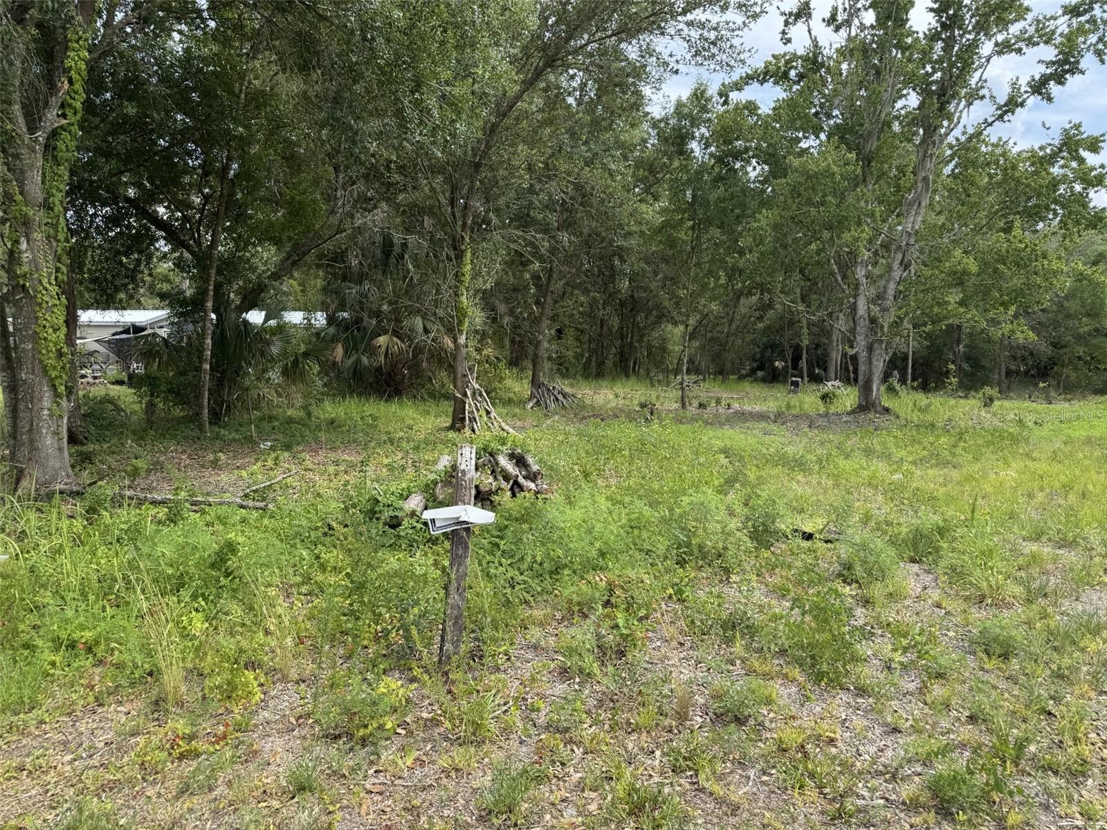 9876 Sr 60 E Property Photo 5