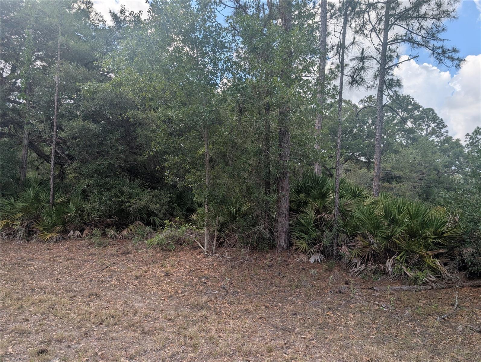 ALLAMANDA DR Property Photo 1