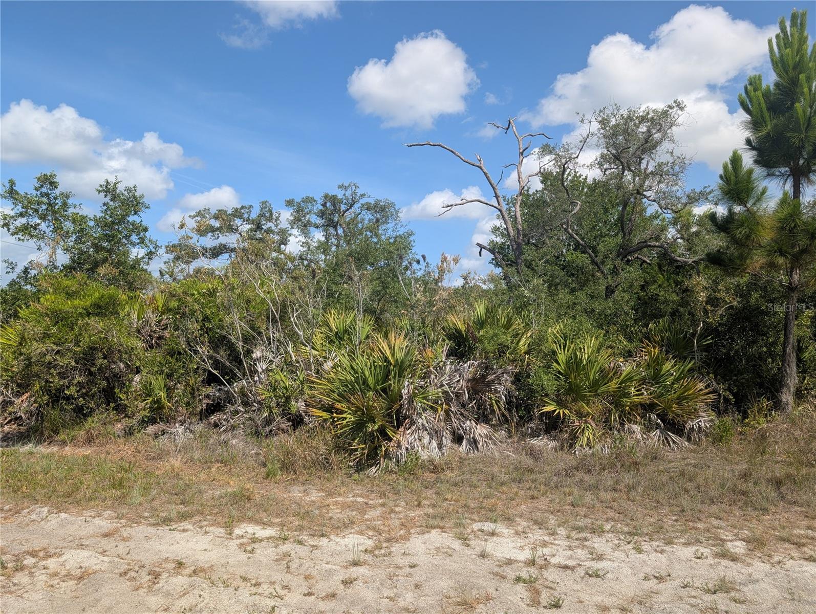 LAKELAND DR Property Photo 1
