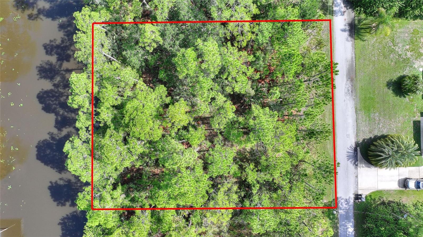 25 Amaryllis Dr Property Photo 1