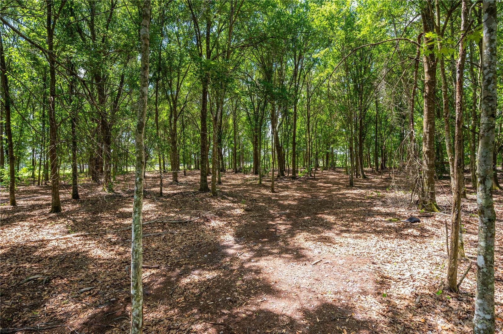 15079 Brahma Rd Property Photo 3
