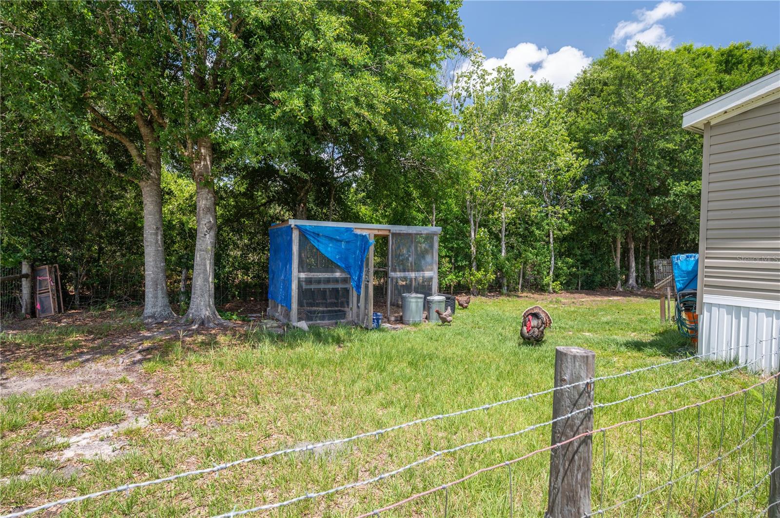 15079 Brahma Rd Property Photo 7