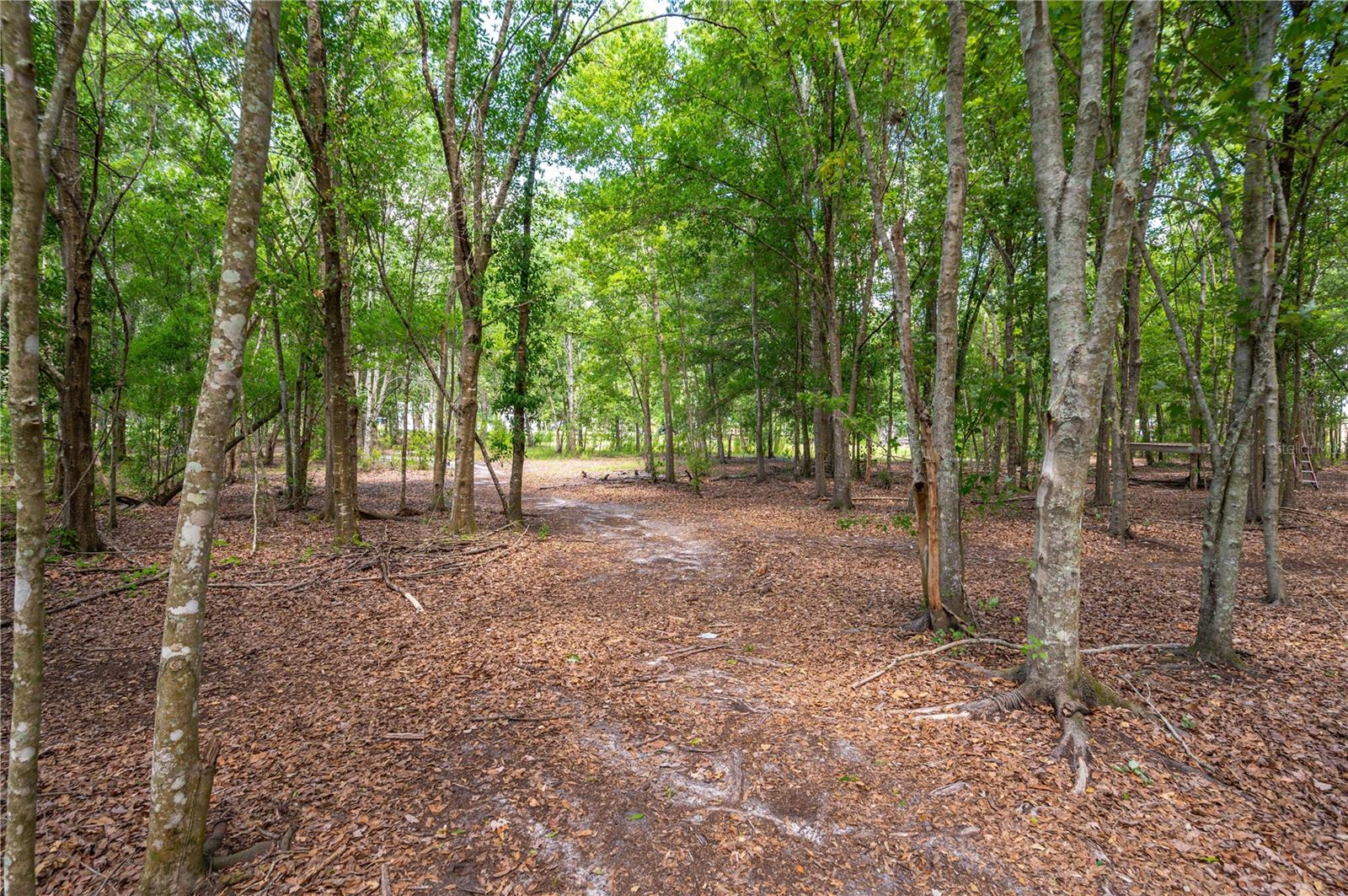 15079 Brahma Rd Property Photo 37
