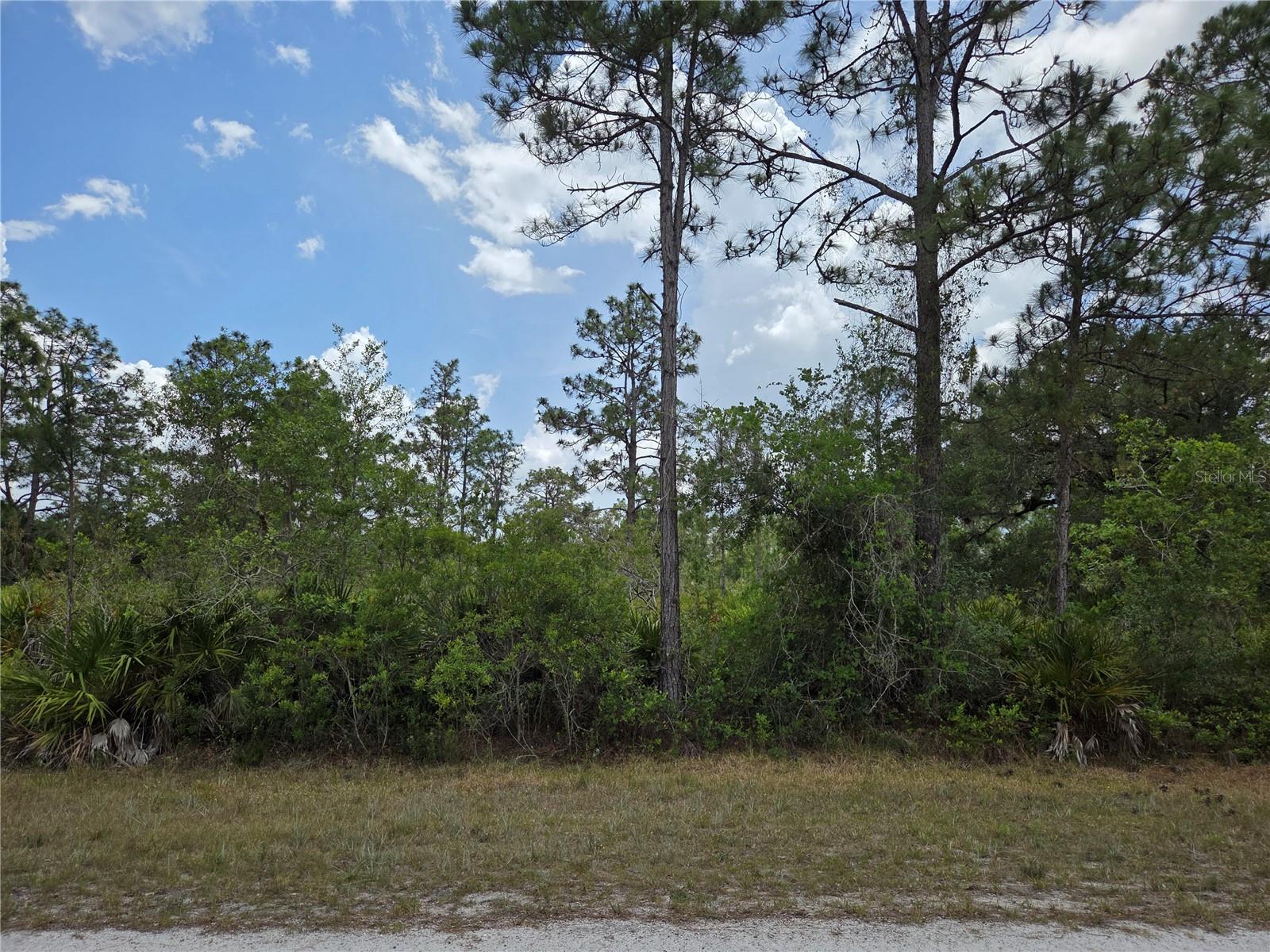 915 Laguna Dr Property Photo 2