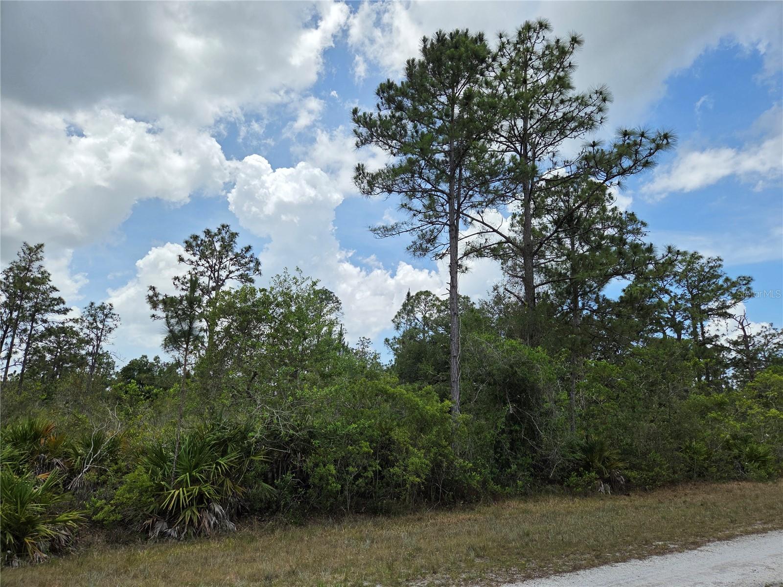 915 Laguna Dr Property Photo 3