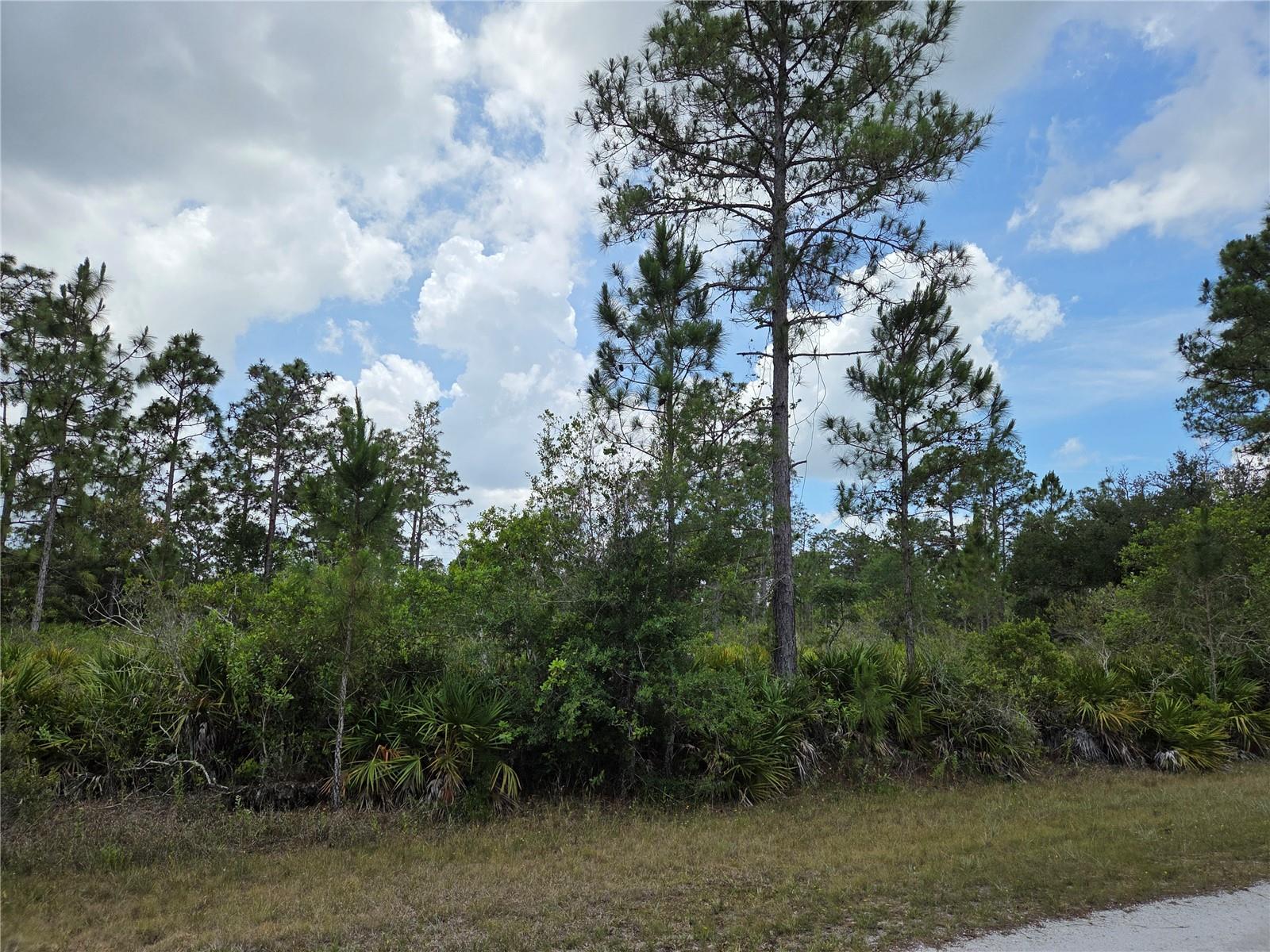915 Laguna Dr Property Photo 7