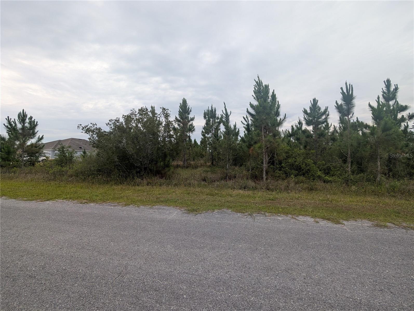 221 Tropicana Dr Property Photo 2
