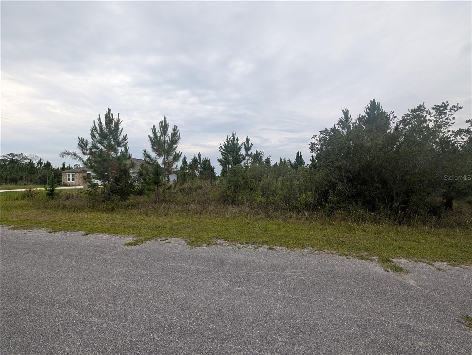 221 Tropicana Dr Property Photo 3