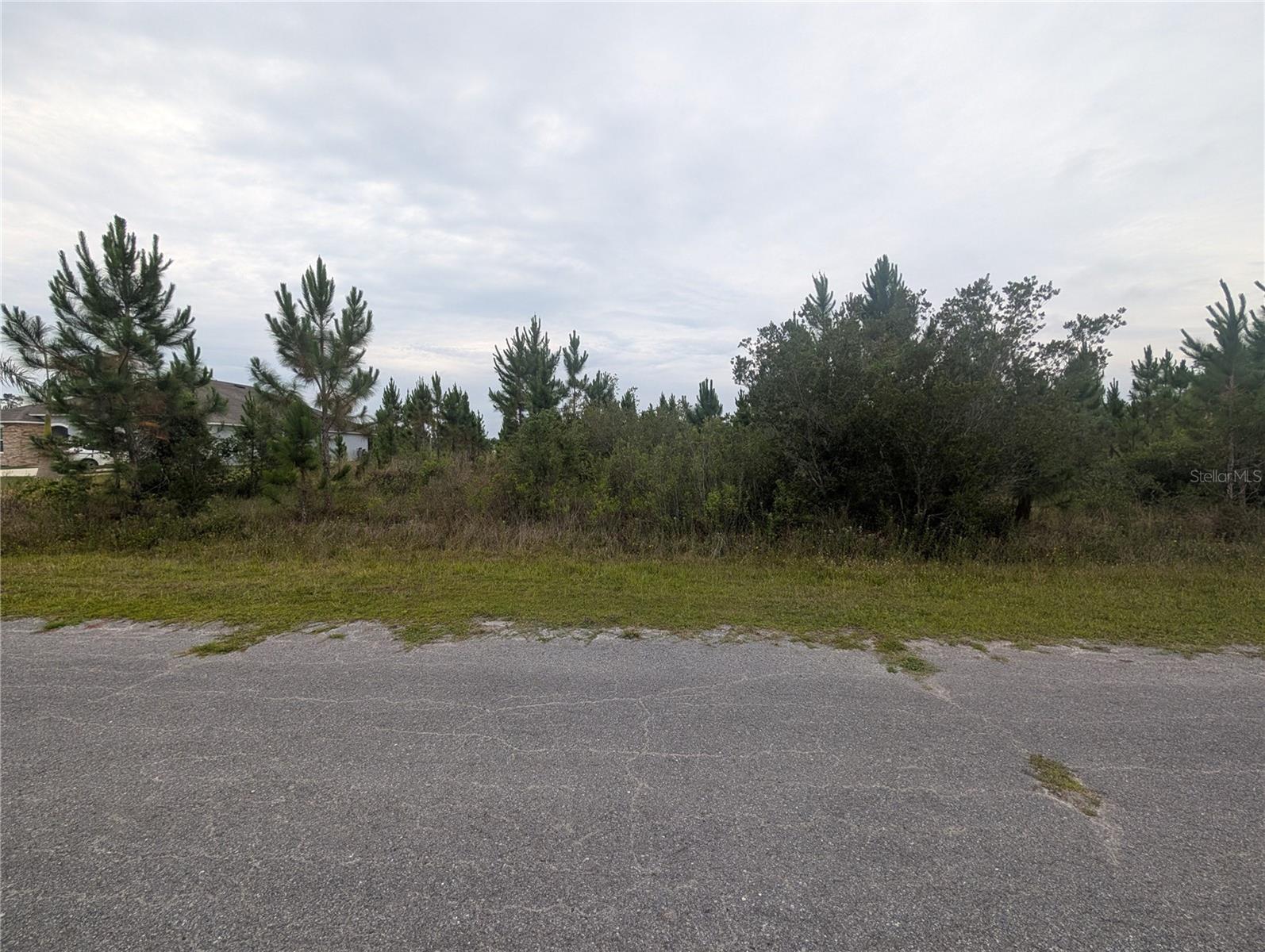 221 Tropicana Dr Property Photo 4