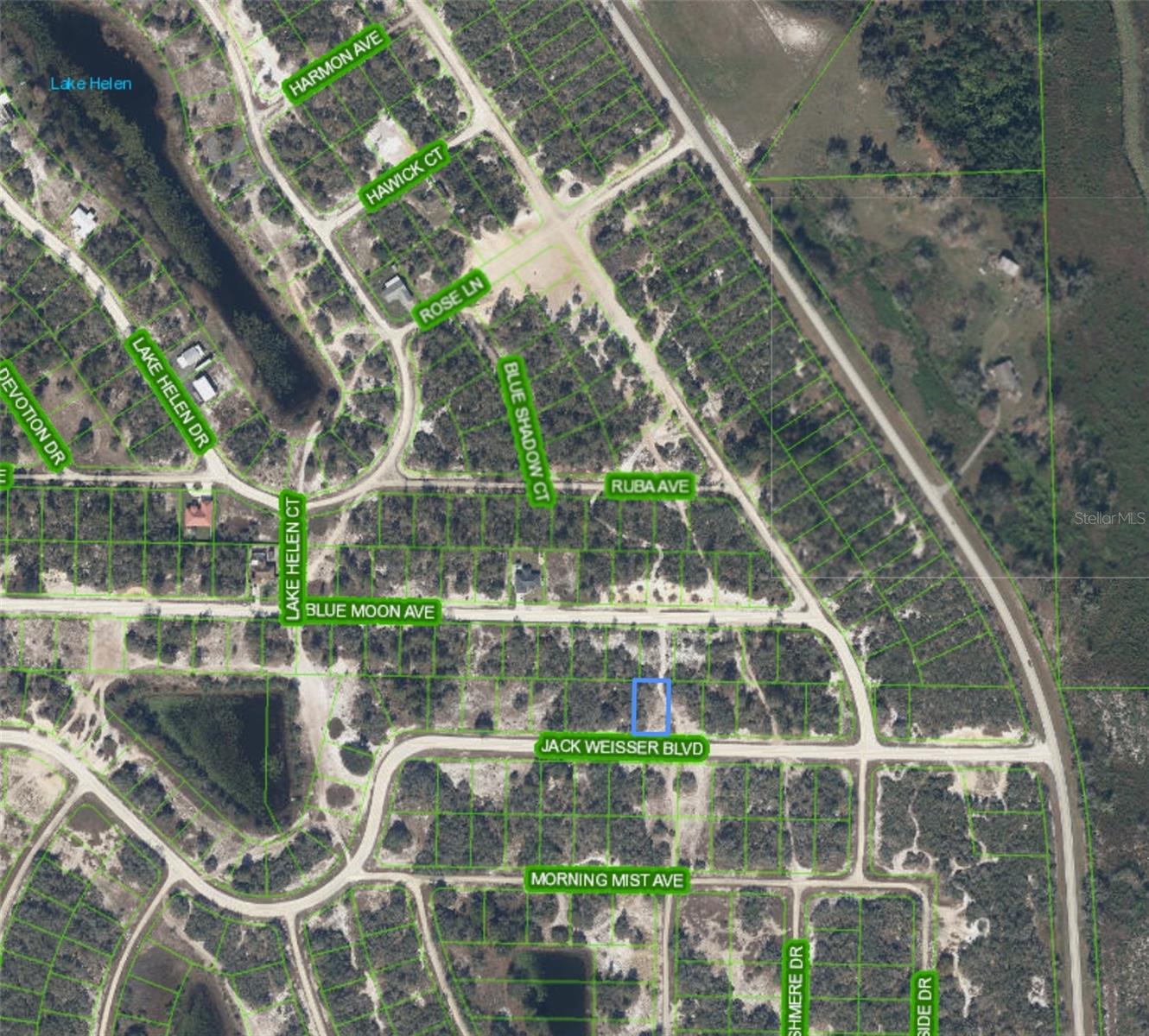 462 JACK WEISSER BLVD Property Photo 1
