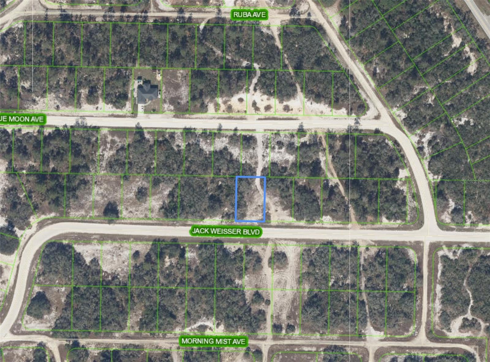 462 Jack Weisser Blvd Property Photo 2