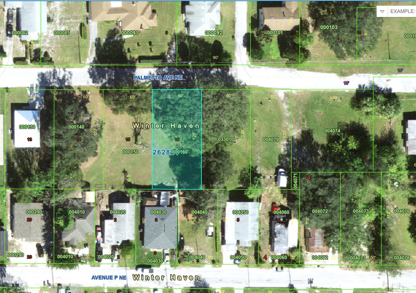 Palmetto Ave Ne Property Photo 3