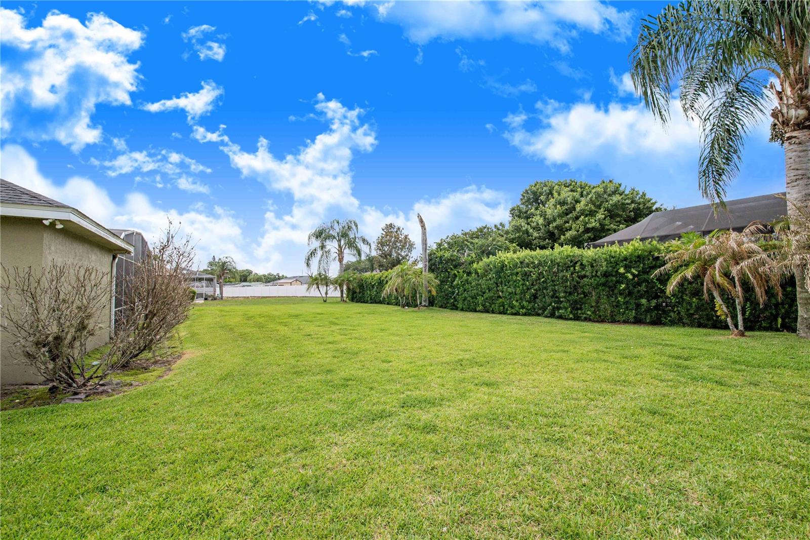 445 Talamone Dr Property Photo 39