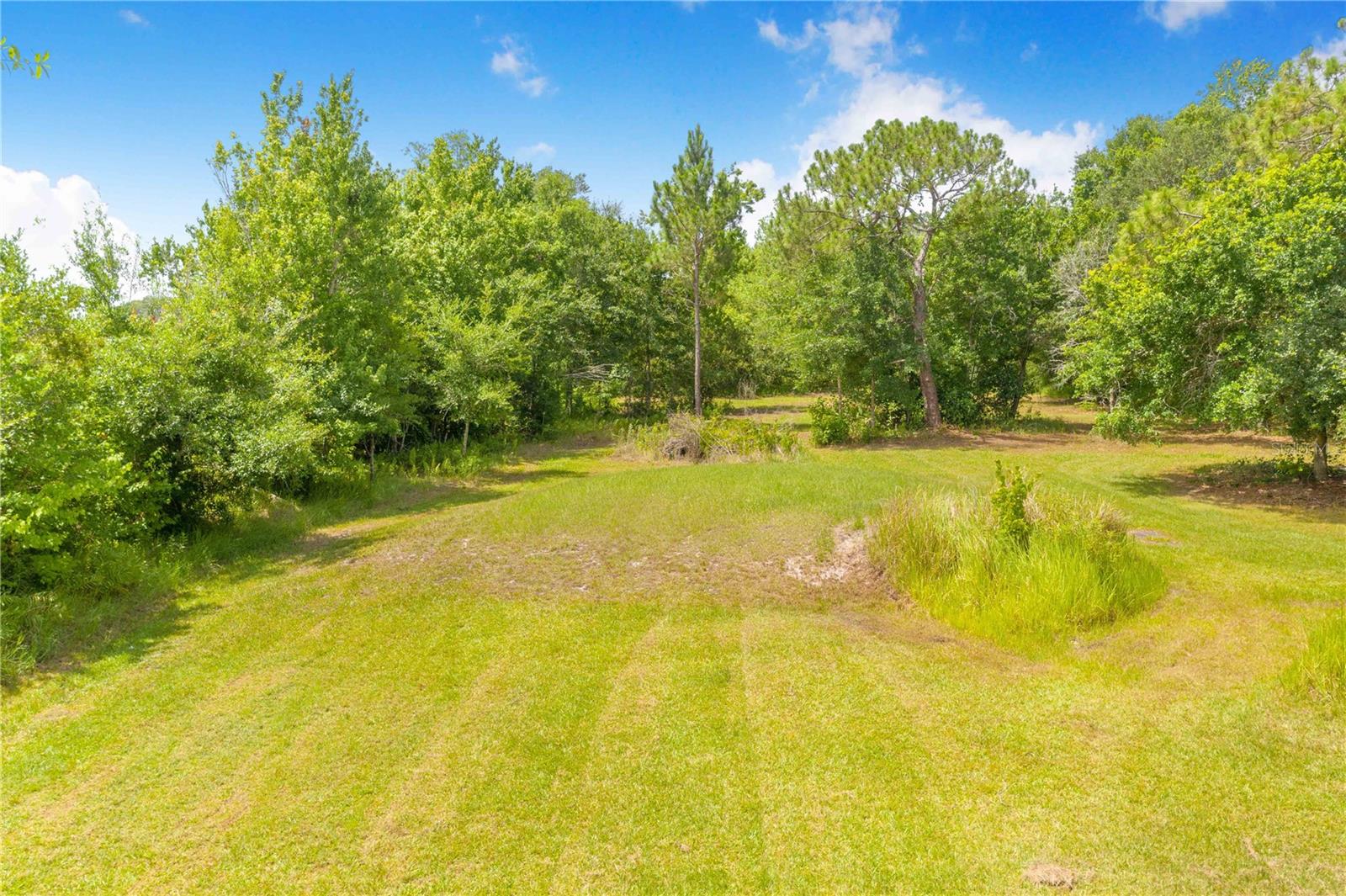 6873 Wilbar Ln Property Photo 6