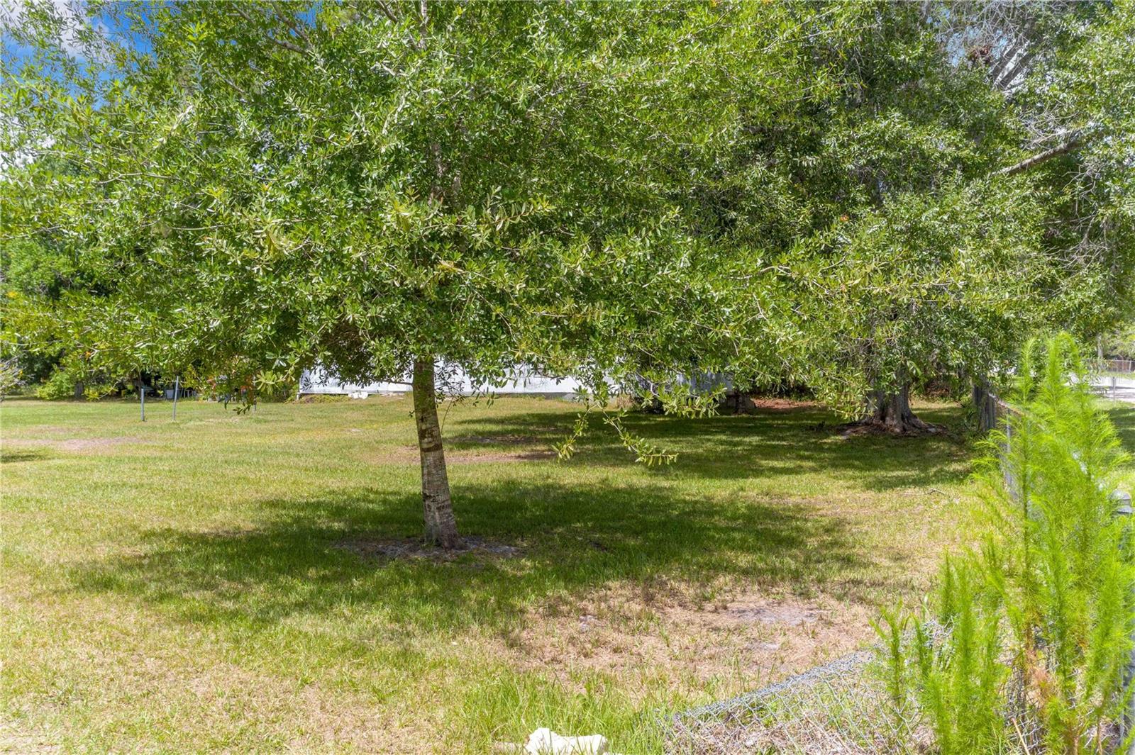6873 Wilbar Ln Property Photo 8