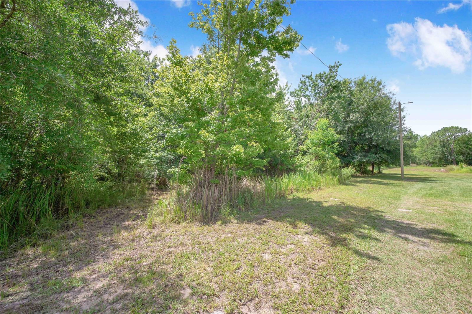 6873 Wilbar Ln Property Photo 10