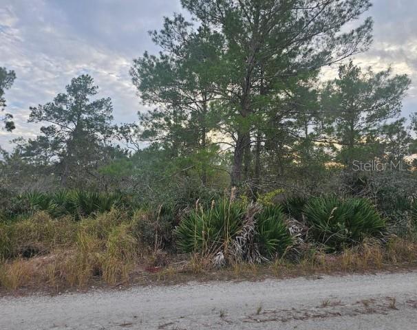 2225 Algonquin Dr Property Photo 1