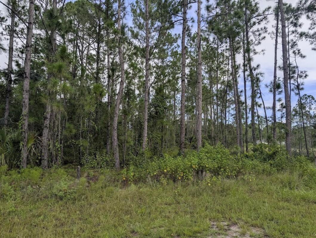 1122 Poinciana Dr Property Photo
