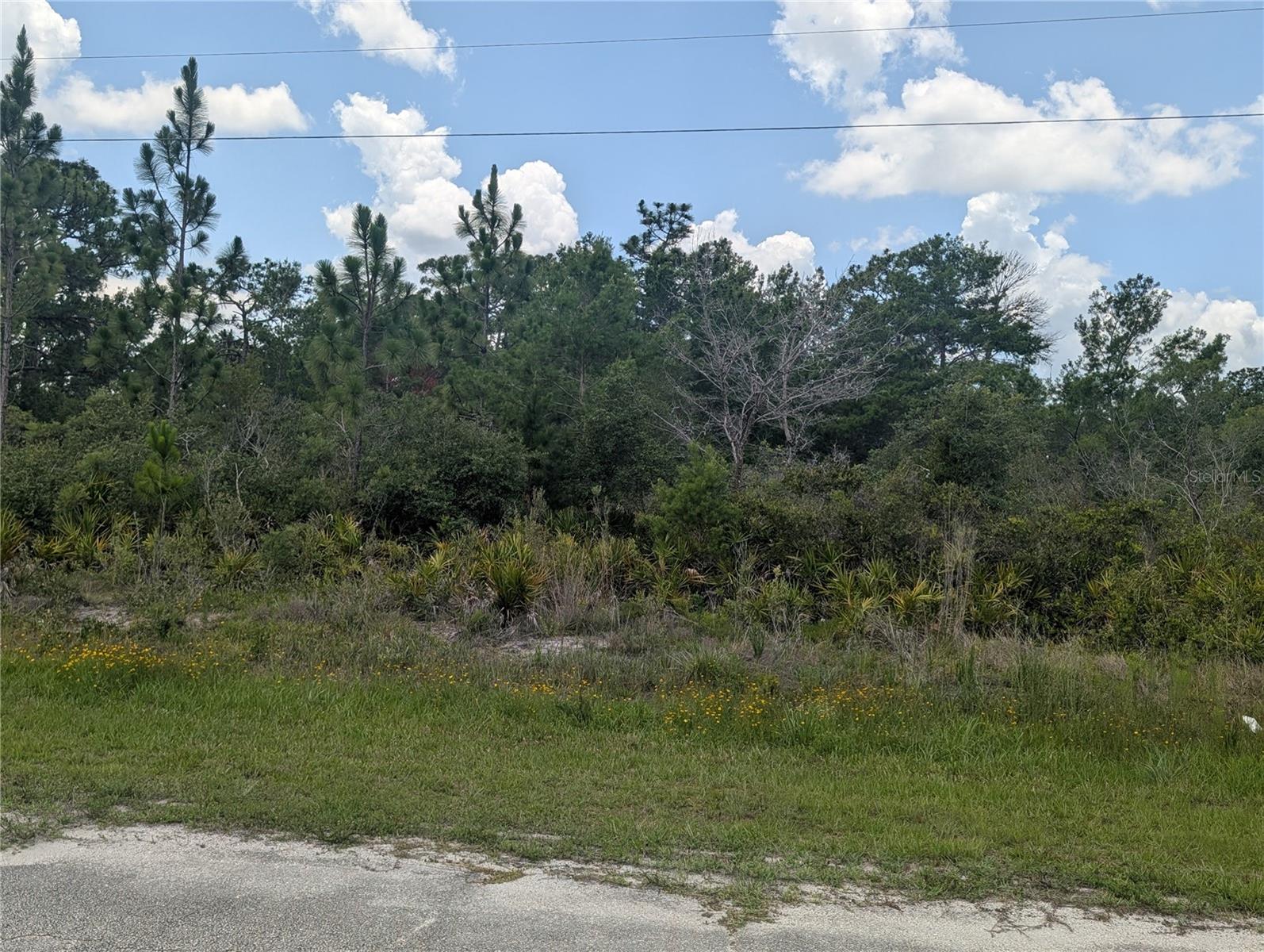Coral Gables Dr Property Photo 2