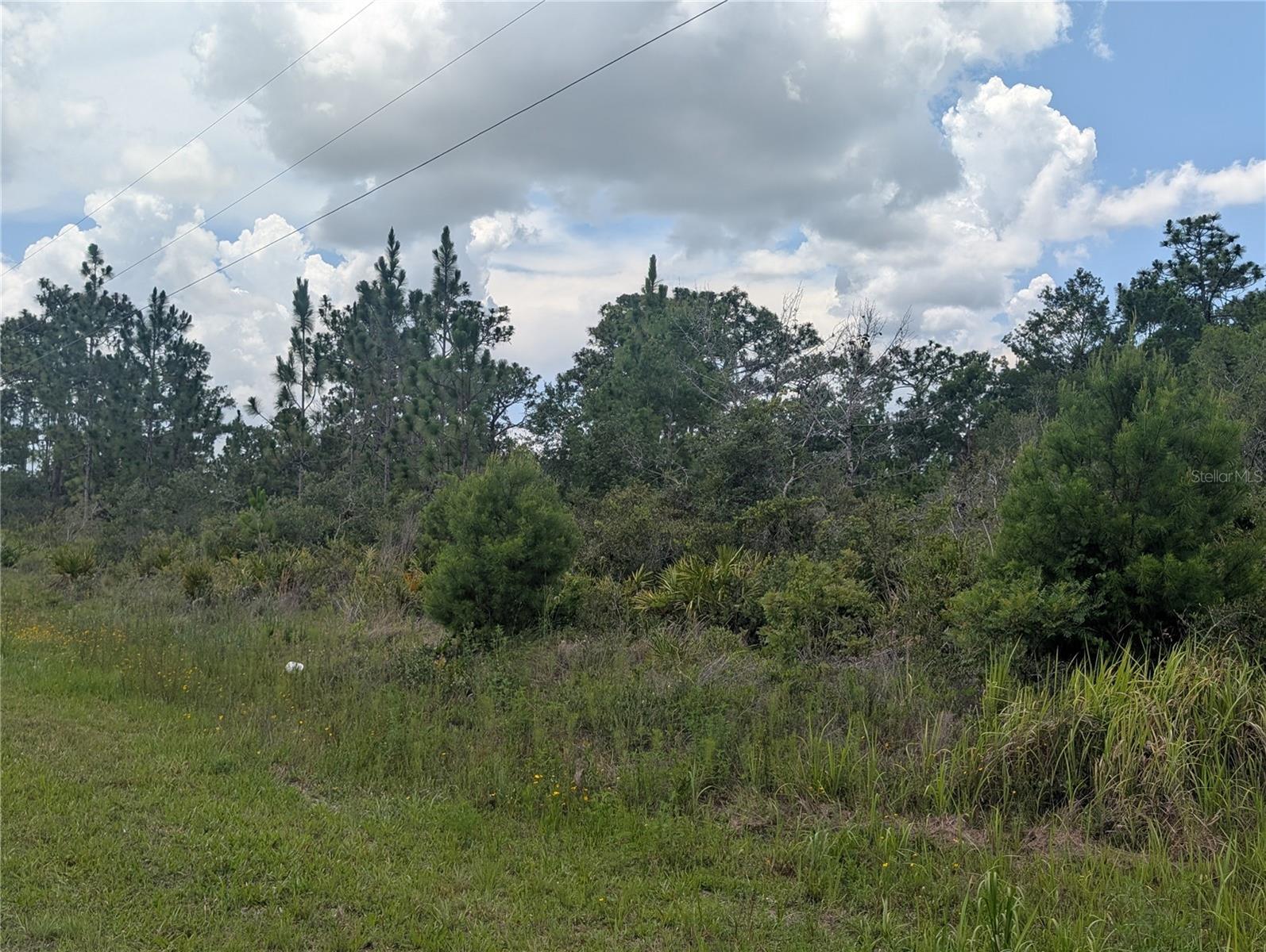 Coral Gables Dr Property Photo 6