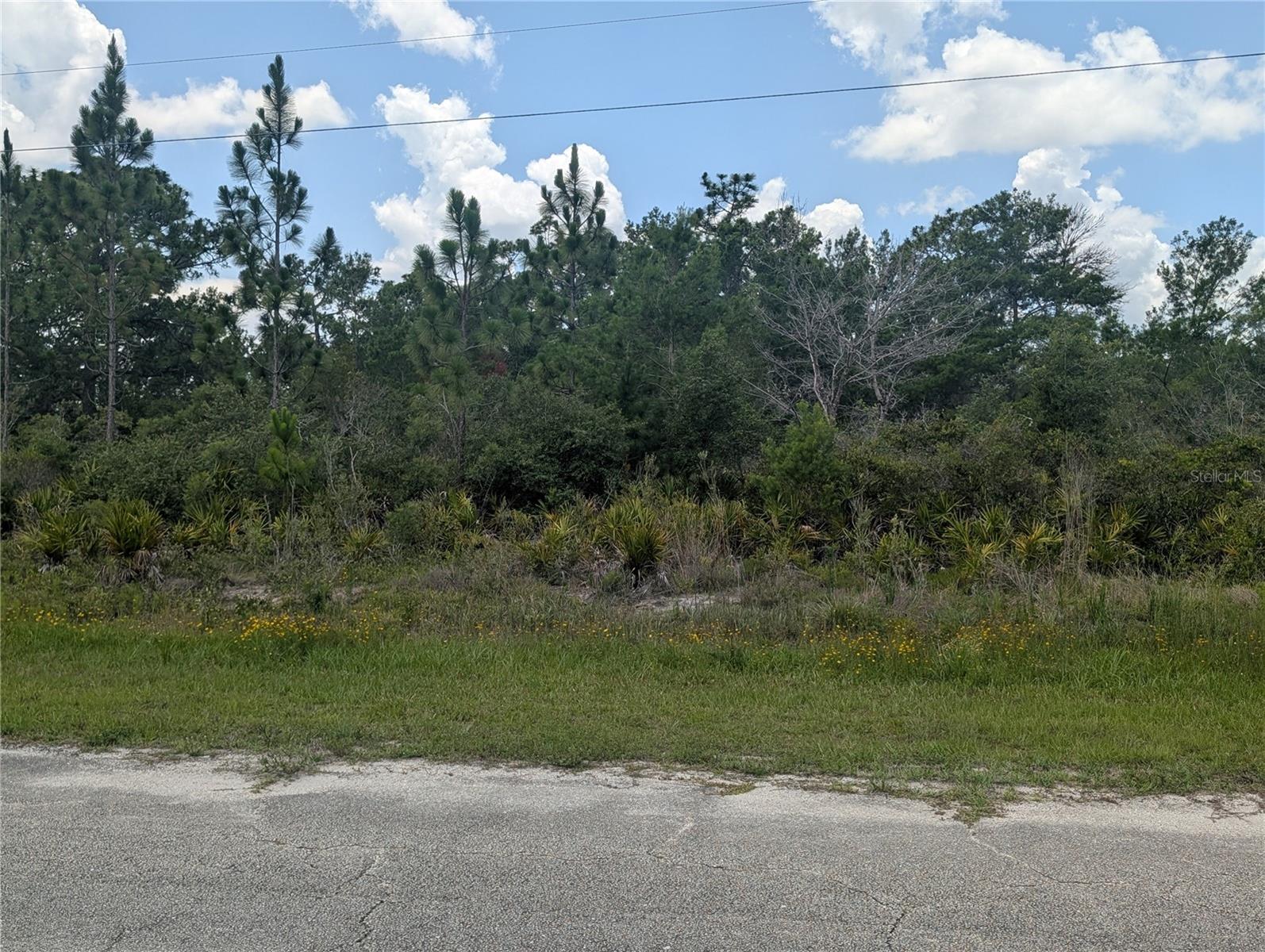 Coral Gables Dr Property Photo 8