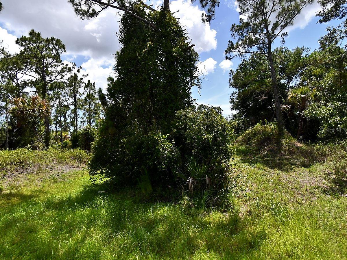 ABDELLA LN Property Photo 1