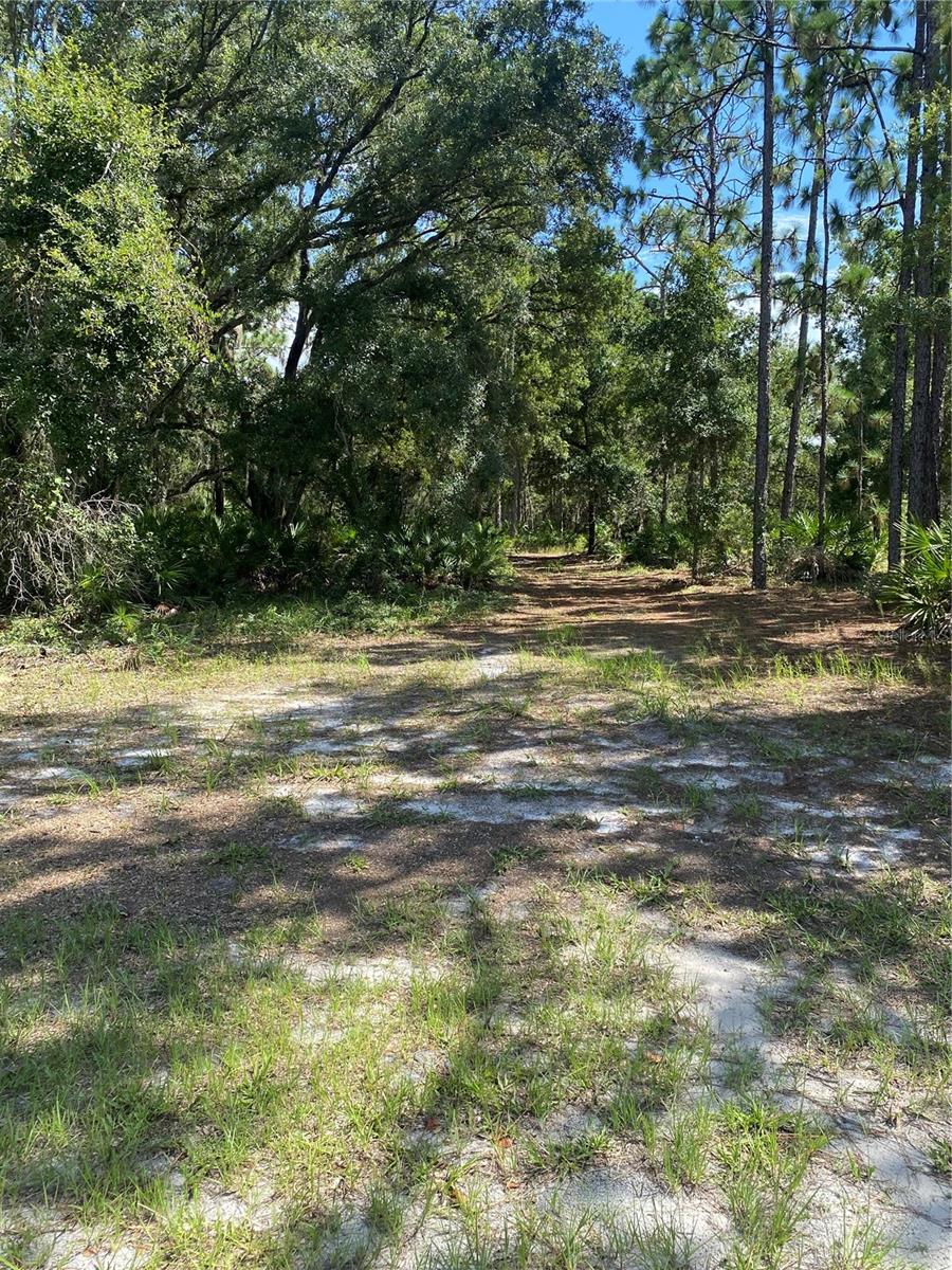 0 Oleander Dr Property Photo 1