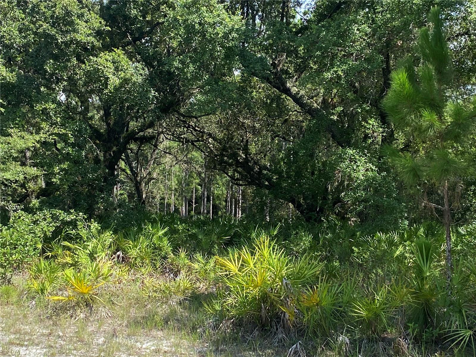 0 Oleander Dr Property Photo 2
