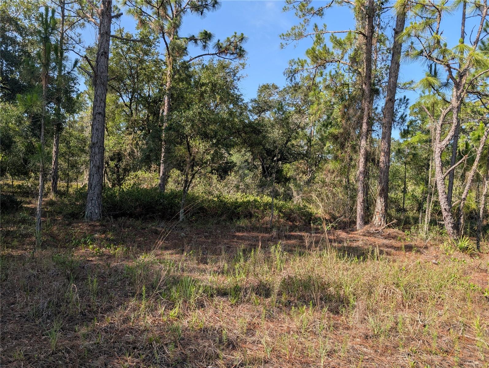 819 & 821 ALLAMANDA DR Property Photo 1