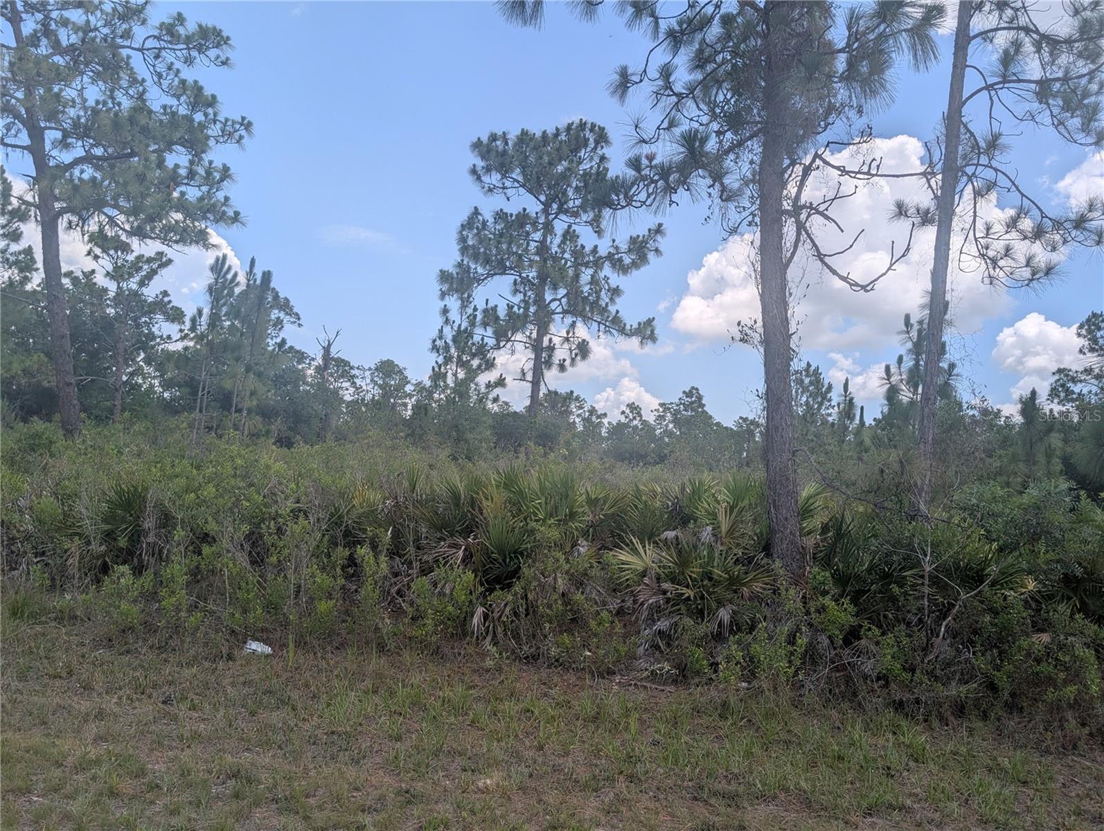 904 Laguna Dr Property Photo 1