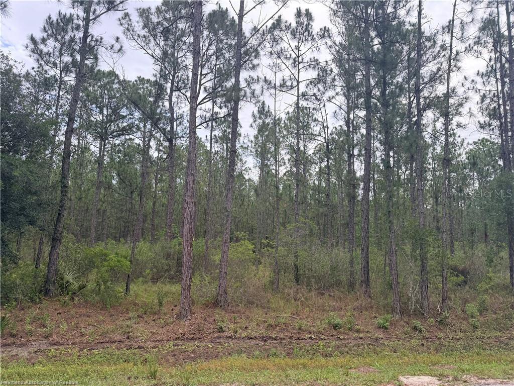 6438 Merrick Dr Property Photo 1