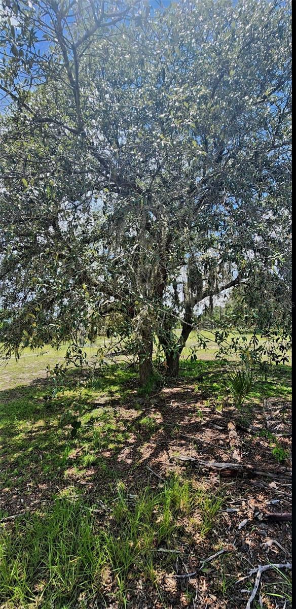 562 Libby Rd Property Photo 17