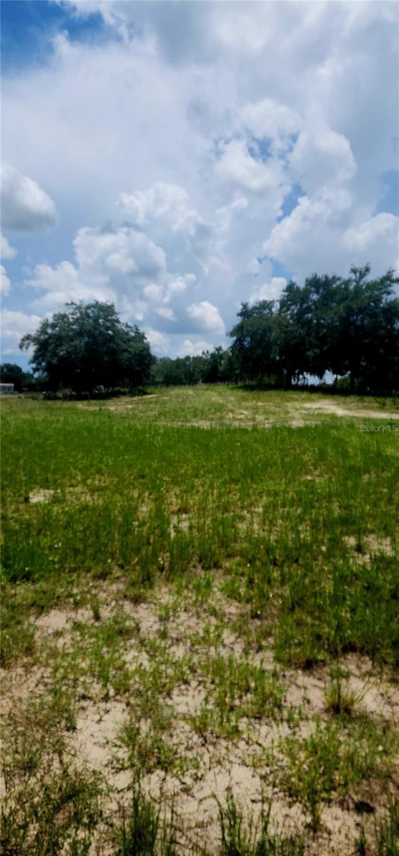 562 Libby Rd Property Photo 27