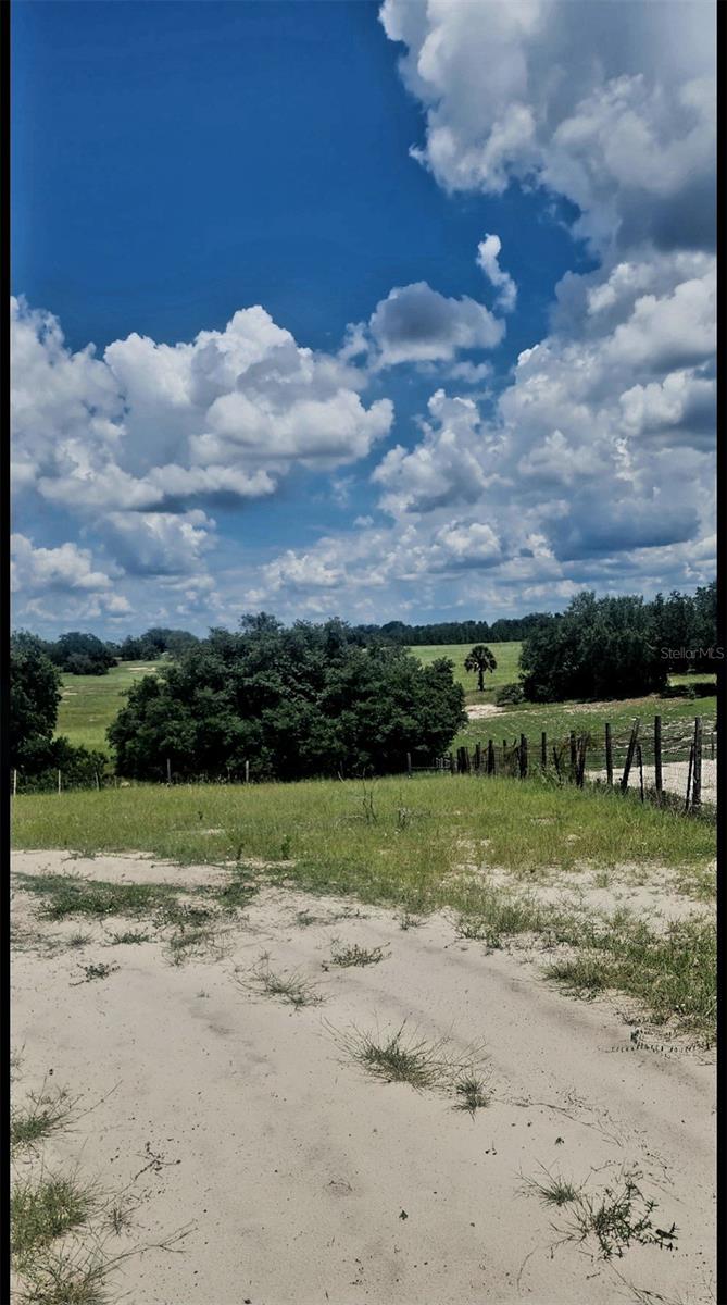 562 Libby Rd Property Photo 29