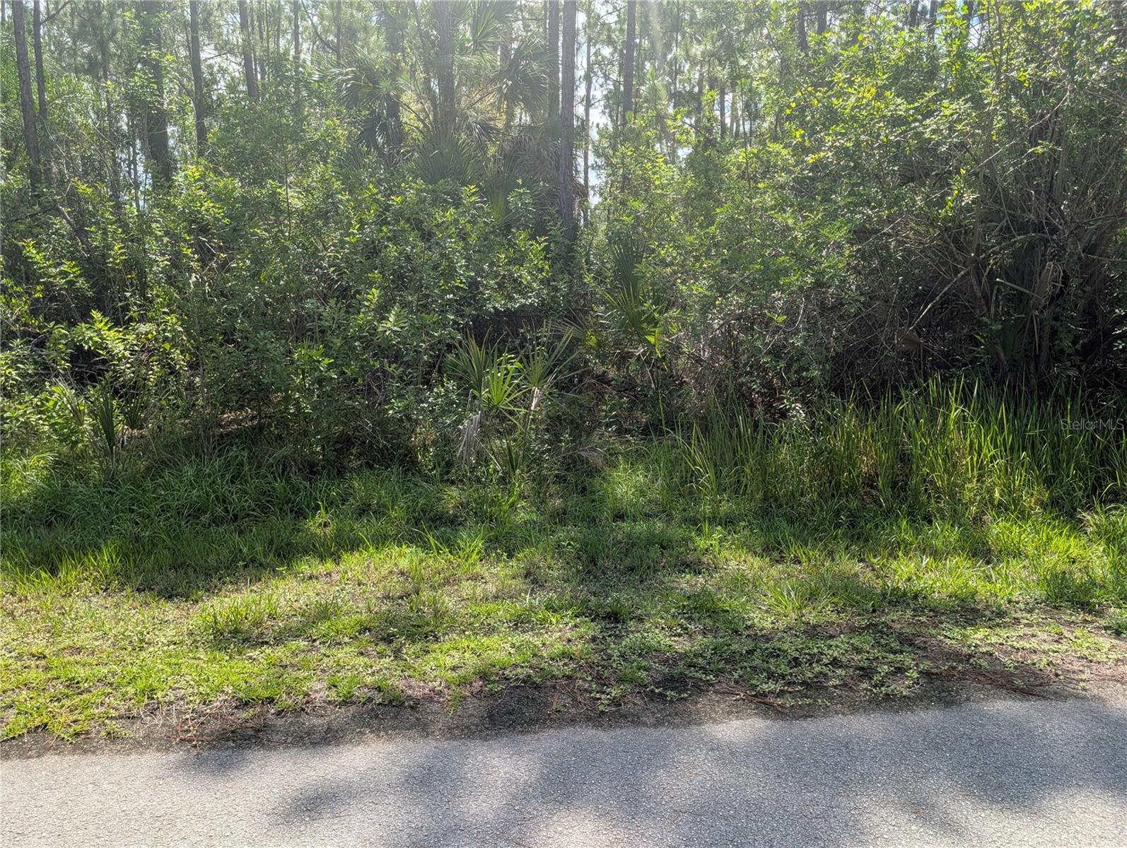 30 Amaryllis Dr Property Photo 11