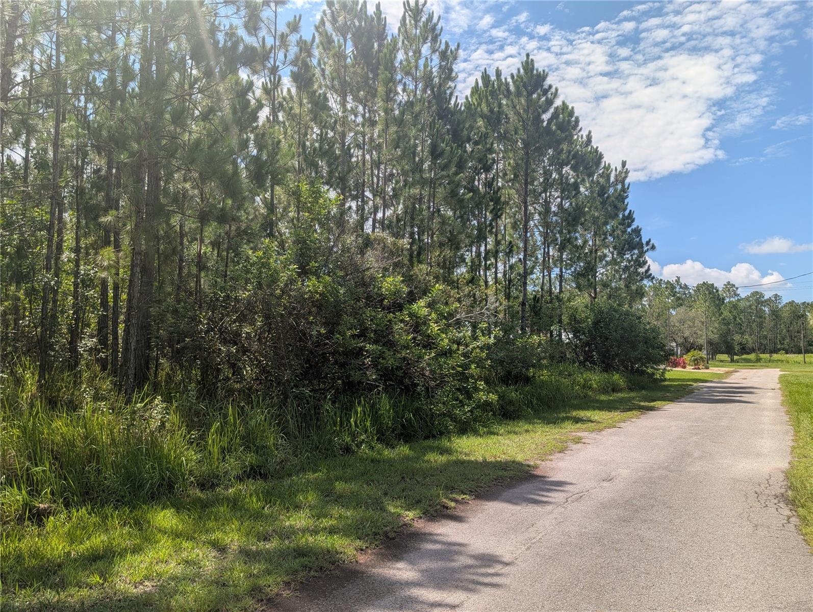 30 Amaryllis Dr Property Photo 13