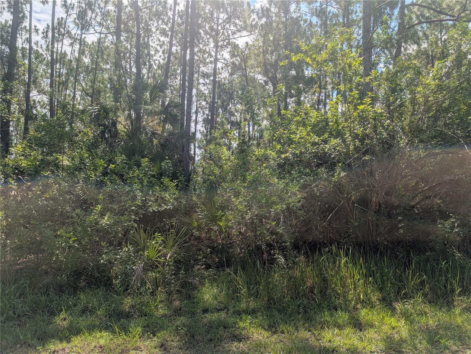 30 Amaryllis Dr Property Photo 14